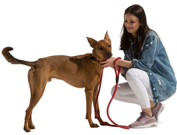 Woman with dog image
