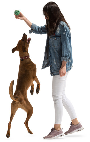 Woman playing with dog image