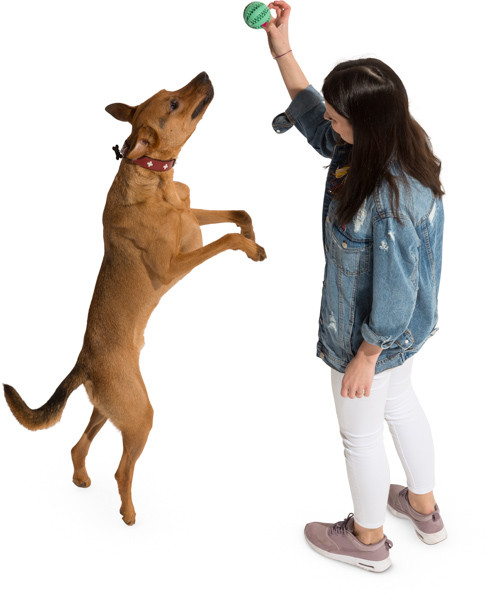 Woman playing with dog image