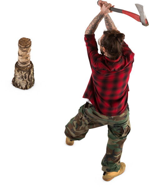 Lumberjack chopping wood image
