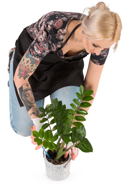 Florist with plant image