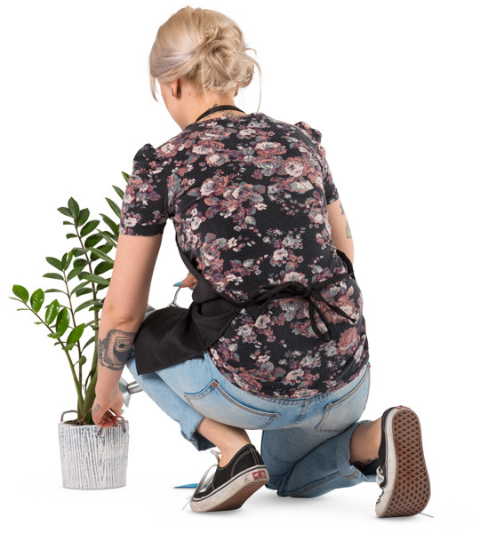 Florist watering plant image