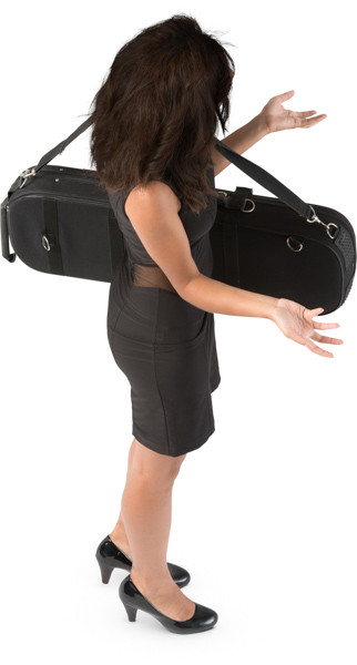 Standing violinist image