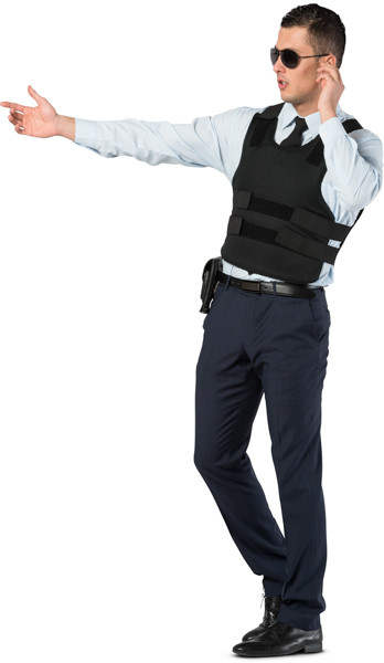 Standing security guard image