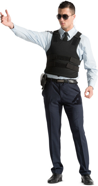 Standing security guard image