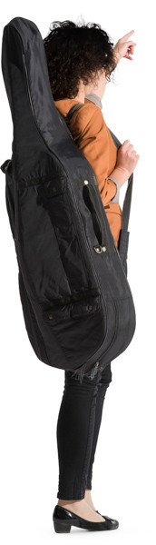 Standing cellist image