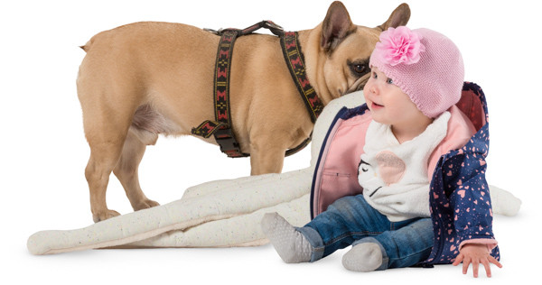 Baby girl with dog image