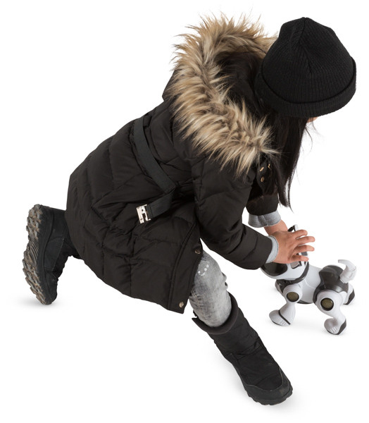 Girl playing with electronic pet image