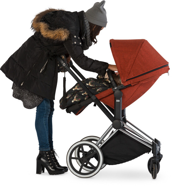 Mother with stroller image