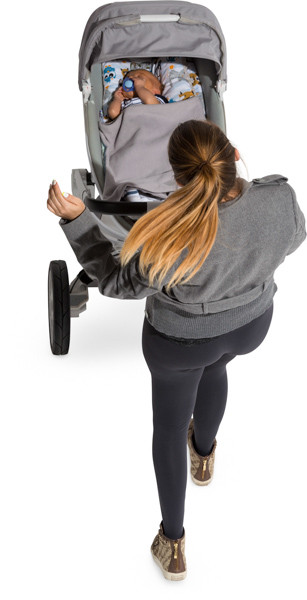 Mother with stroller image
