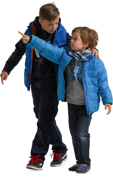 Walking brothers image