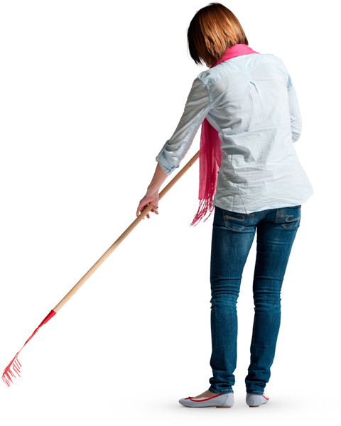 Woman raking leaves image