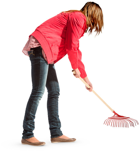 Woman raking leaves image