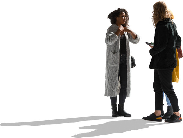 Standing and talking group of friends image